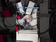 LDX-020 (A) macchina di rettifica per lame di seghe a angolo di oscillazione TCT completamente automatica