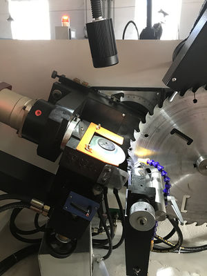 LDX-020A Macchina di rettifica automatica per la lavorazione del legno